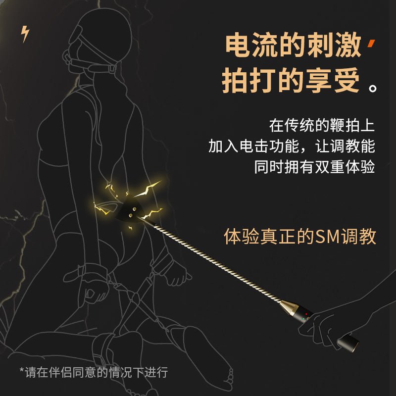 ROOMFUN房趣电击调教系列道具 房趣ROOMFUN