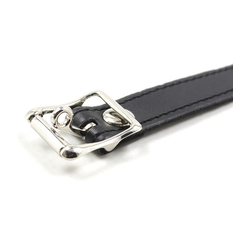 硅胶狗骨头造型口塞 口塞 色界