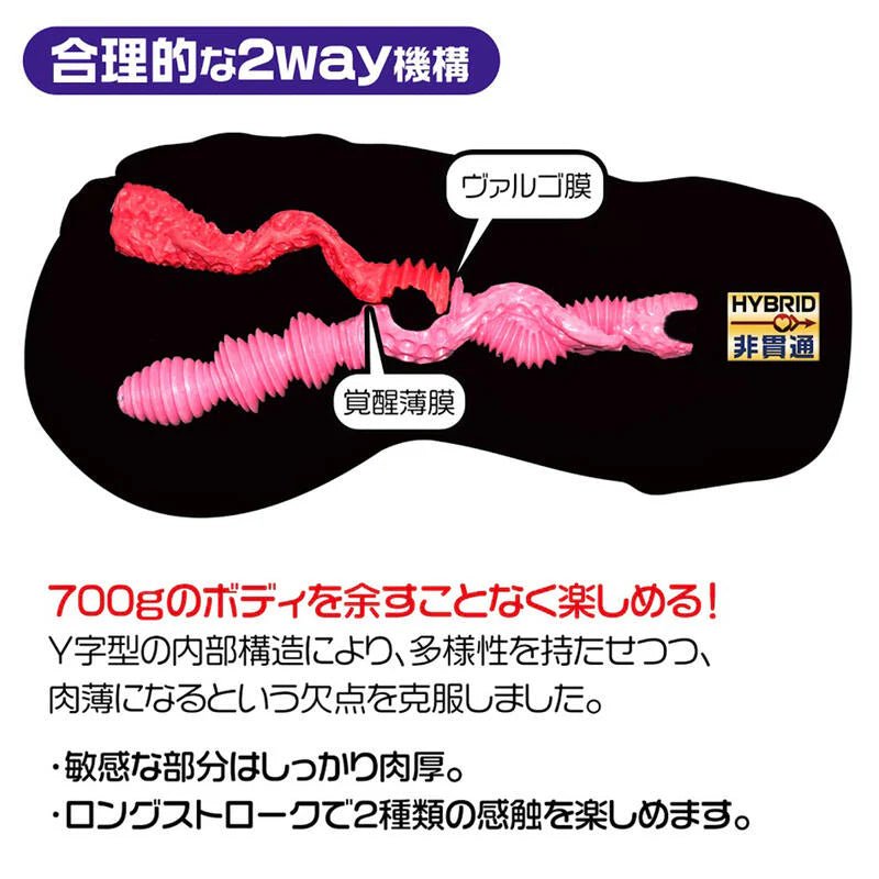 MAGIC EYES极彩玫瑰二代 MAGICEYES