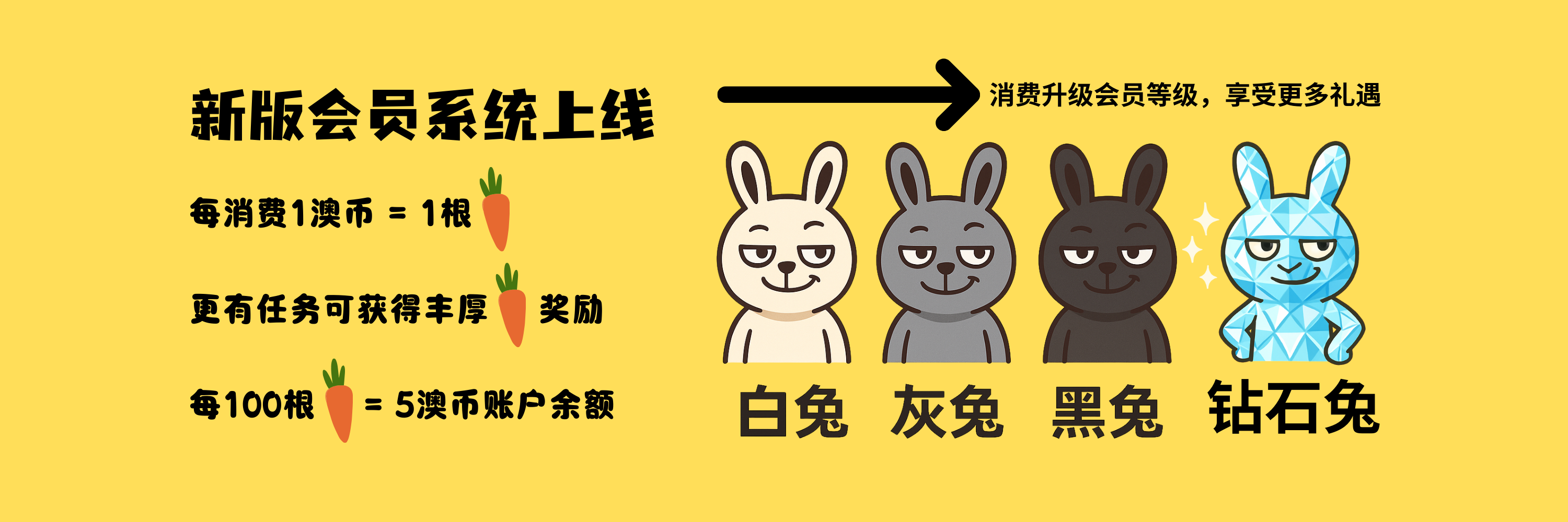 羞羞会员等级系统介绍图-电脑端，白兔、灰兔、黑兔、钻石兔四个等级，消费累积胡萝卜奖励，可兑换账户余额。